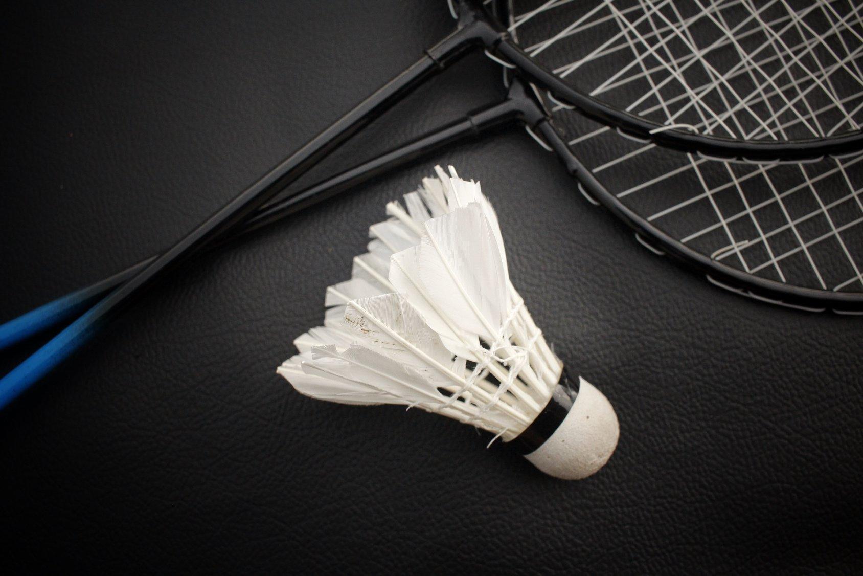 Master Your Fantasy Badminton Team with Dragonfyrequest